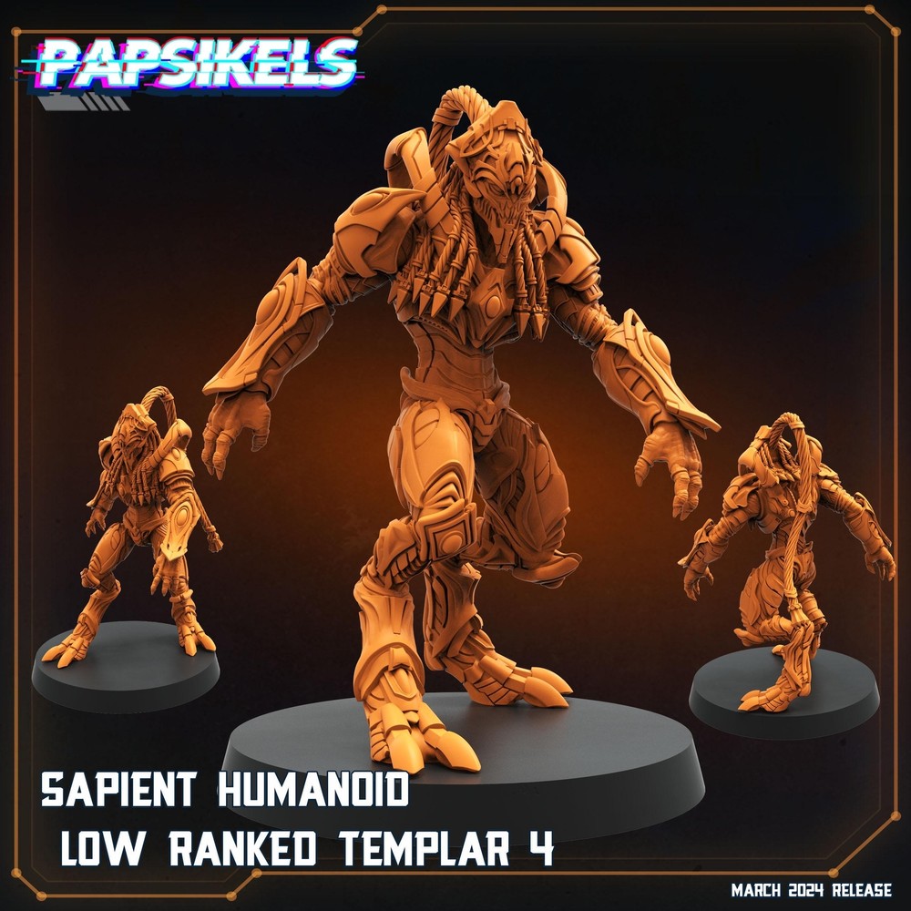 Sapient Humanoid Low Ranked Templar - 04