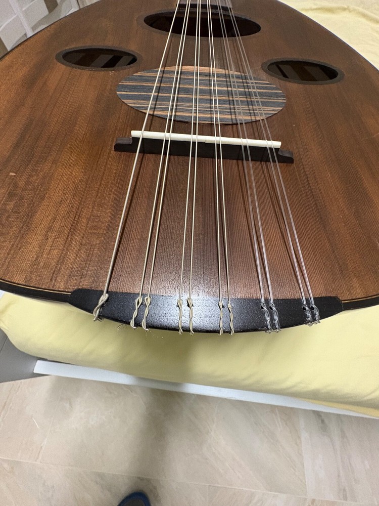 Professional oud instrument