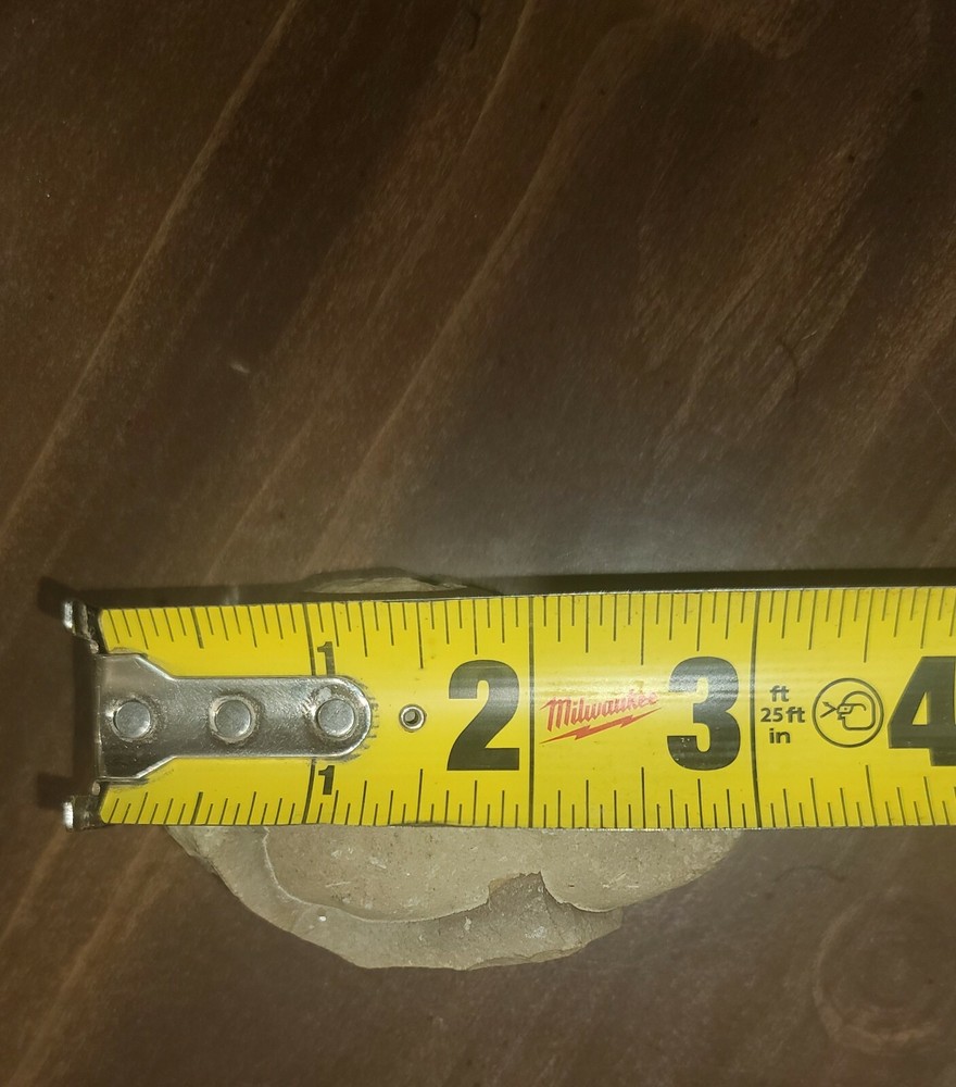 Stone (oval) embedded inside of shale