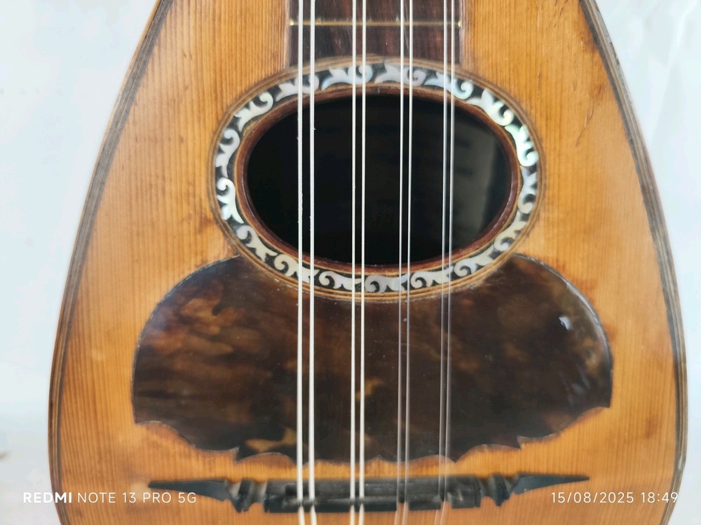 Mandolin 4/4 Giuseppe Cesolari 1905 Rome 曼陀林 만돌린マンドリン