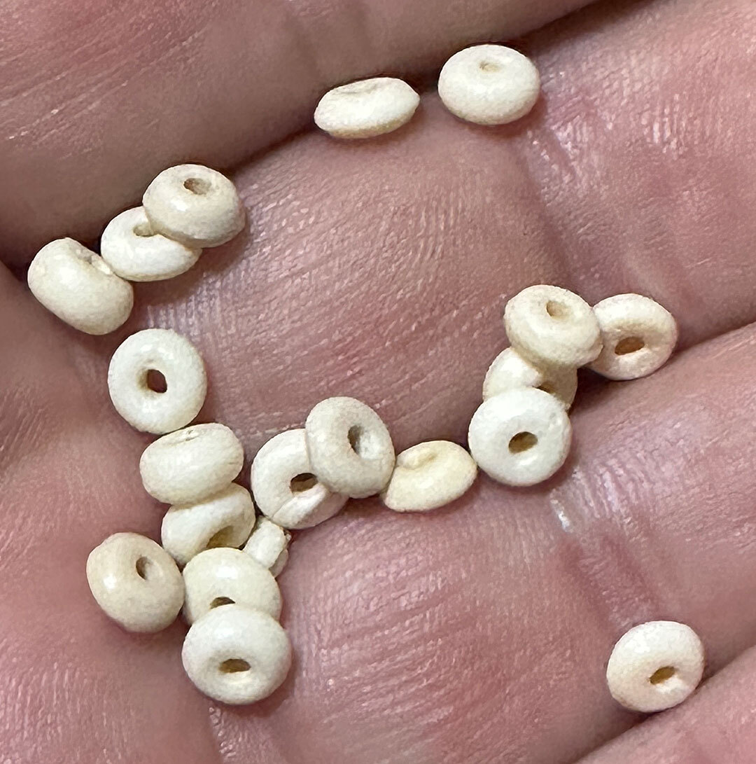 (10) Crow Indian Trade Beads Bone Donut Beads Fur Trade Era