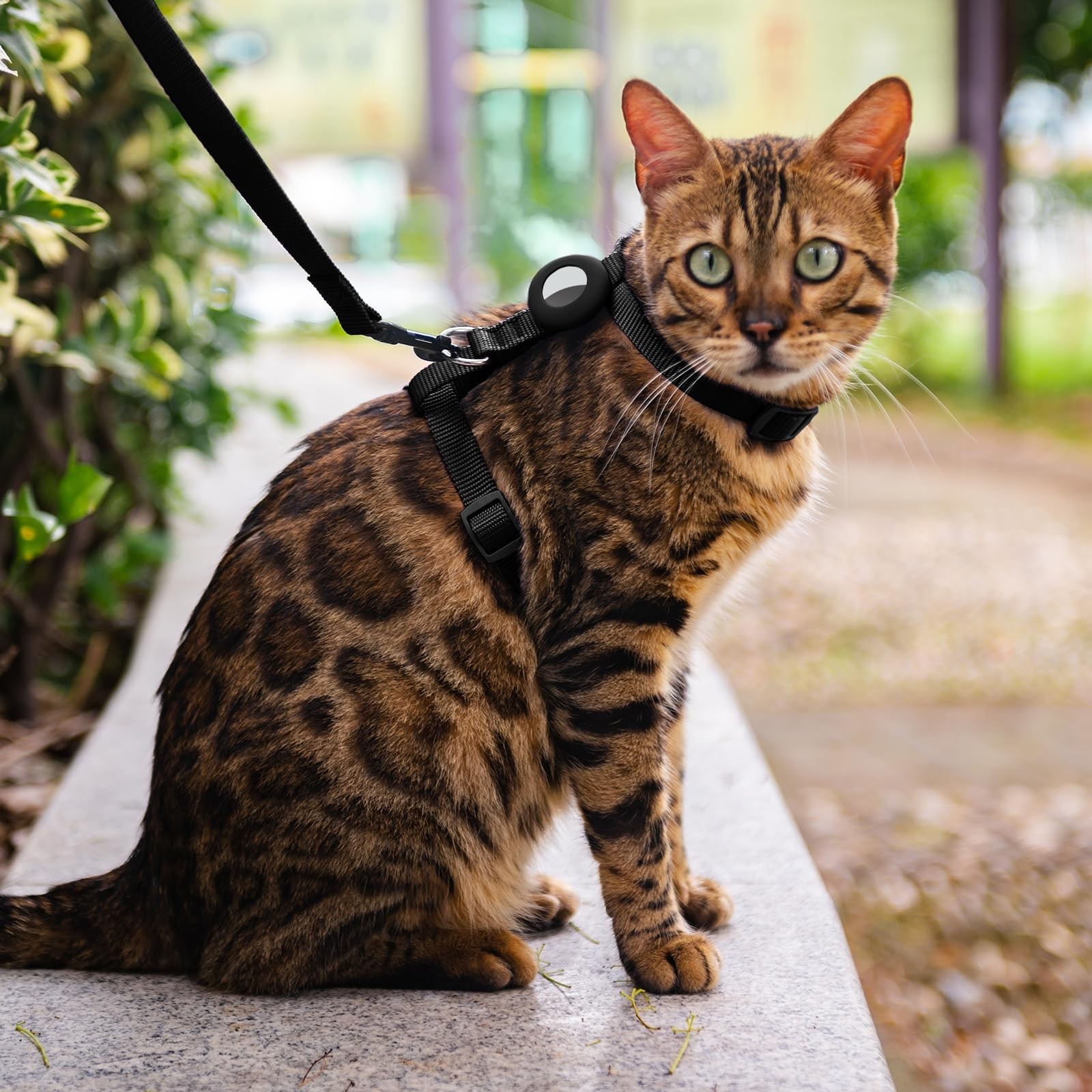 Cat Harness Leash Set Airtag Holder Walking Escape Proof Adjustable Vest Black