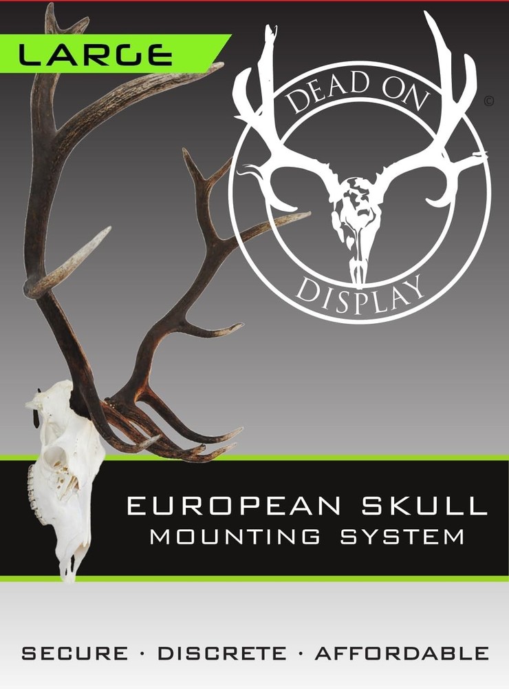 European Skull Mount Hanger - LARGE