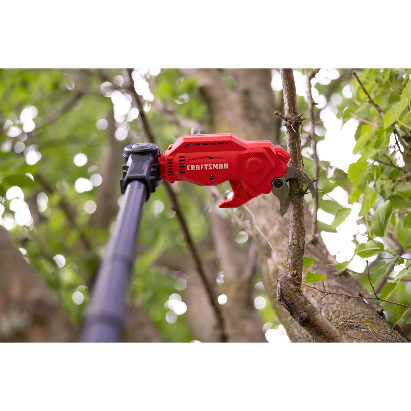 CRAFTSMAN V20* Cordless Pole Pruner (Tool Only) - CMCPPR320B