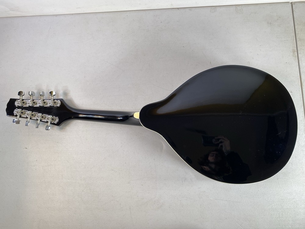 Hal Leanard Harmony Mandolin 8 String & Method Book HL00125547 Instrument 46S19