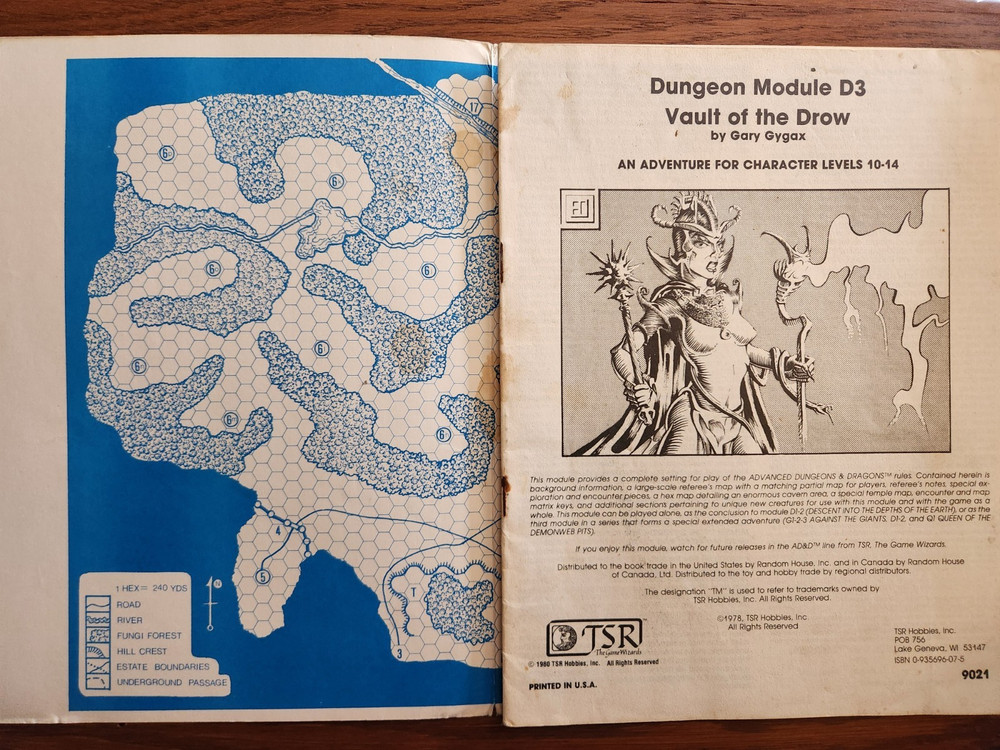 D3 Vault of the Drow module D&D TSR Basic Dungeons Dragons BECMI