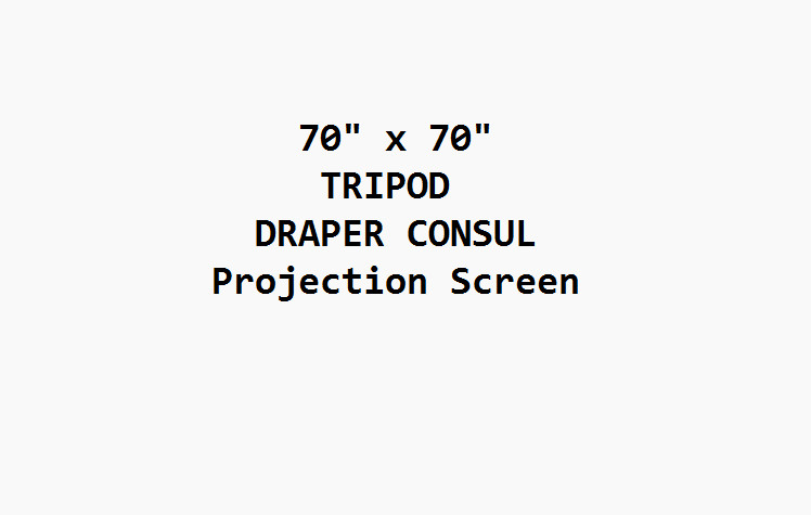 Draper Consul Projection Screen