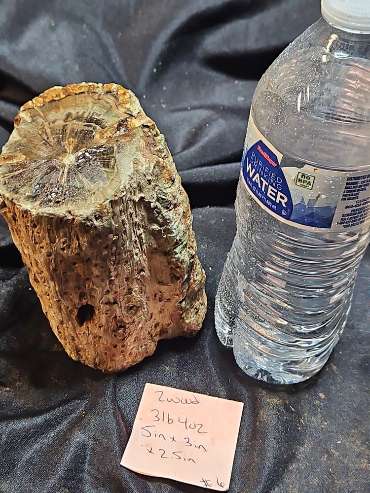 Zimbabwe Petrified Log Specimen (3 Lbs 4 Oz )