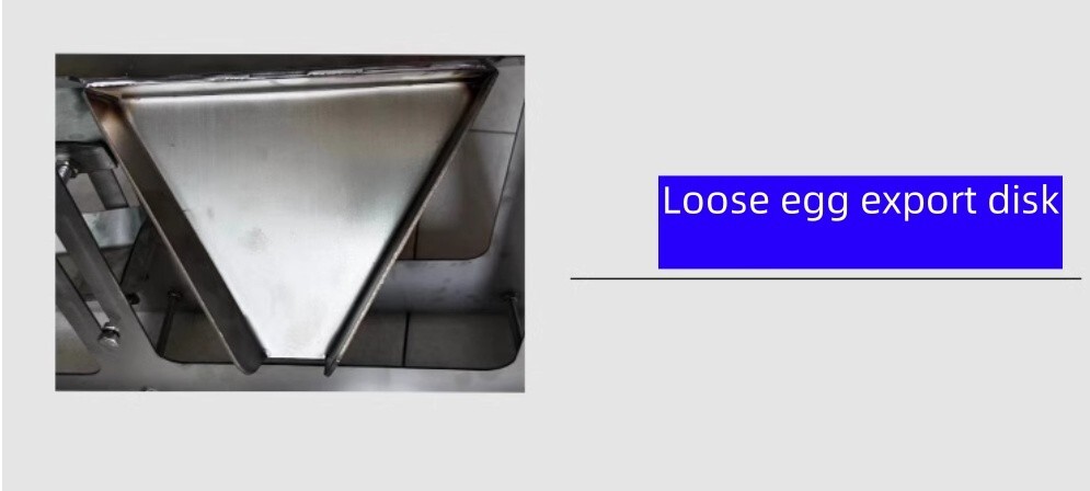 Egg Liquid Processing Equipment Egg White and Yolk Separator S304