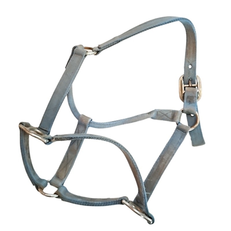 Valhoma Blue Horse Halter Used