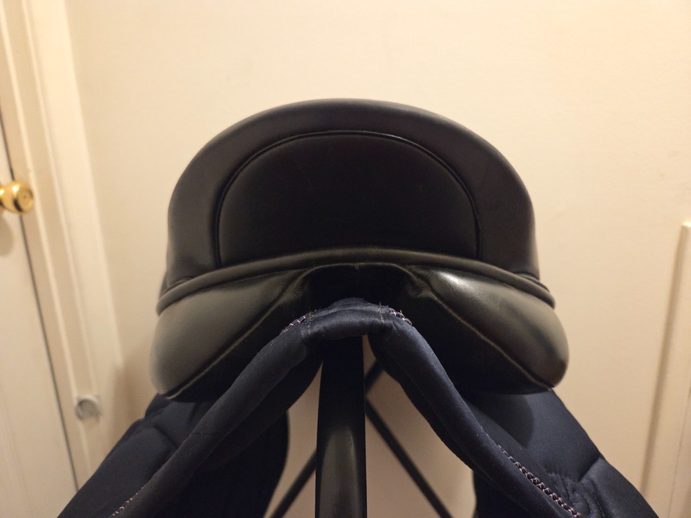 Custom Coronado 17.5