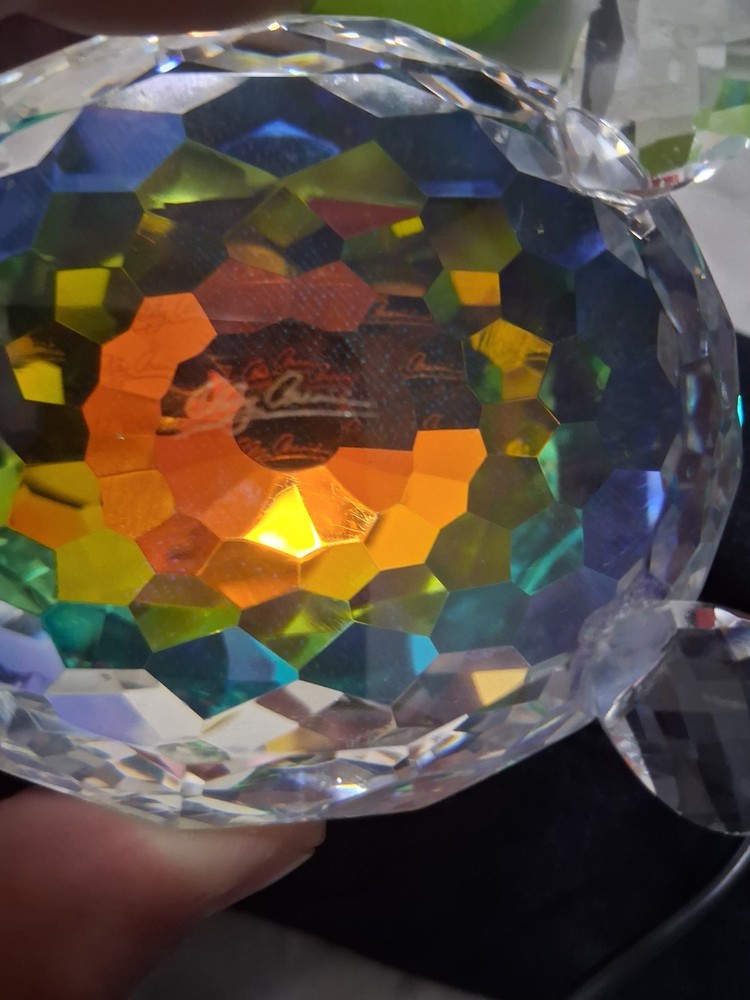 Real Crystal Turtle