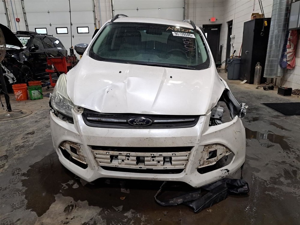 Rear 2016 Escape Camera/Projector Sku#4335195