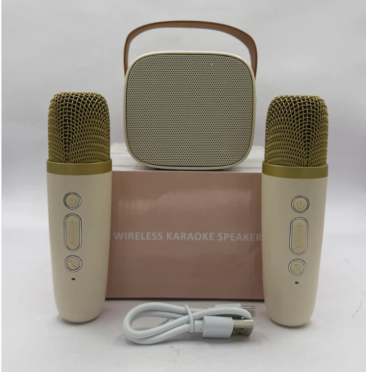 Mini Karaoke Machine with 2 Wireless Microphone, Bluetooth Speaker for Kids and