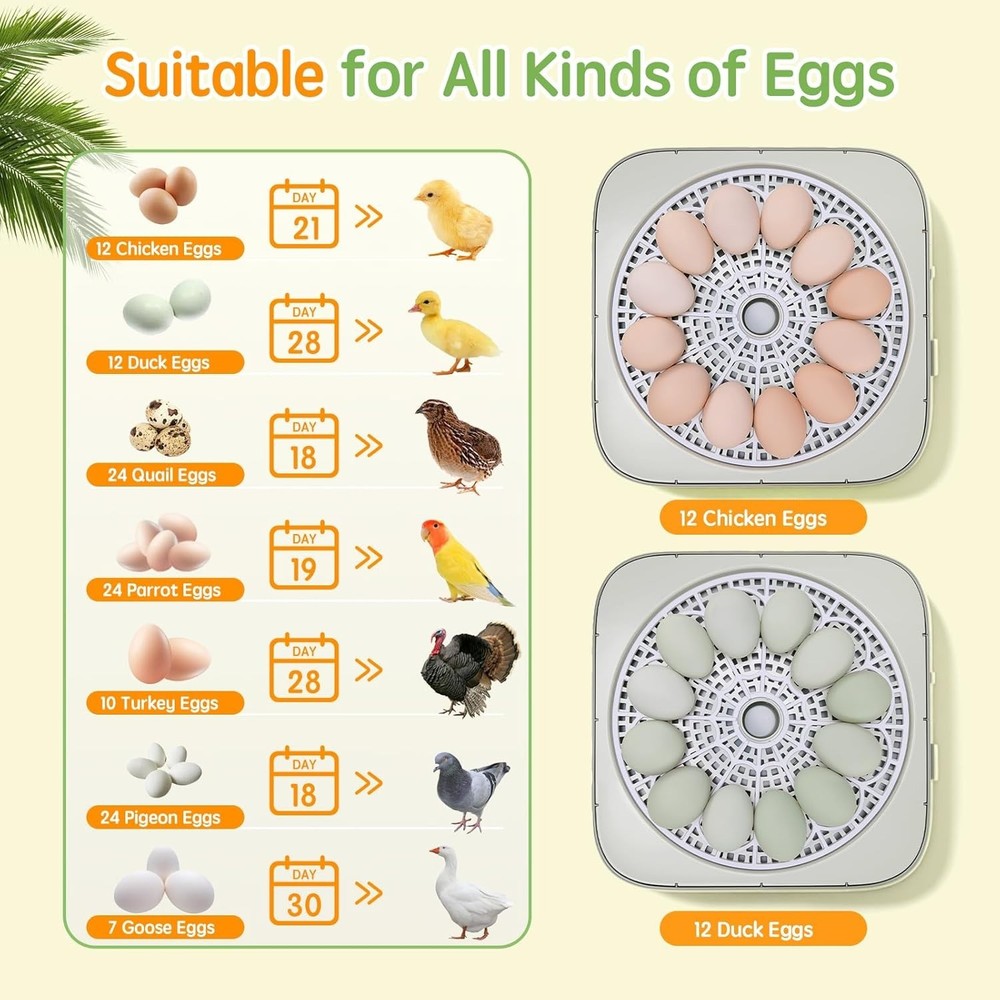 Incubator for Hatching Eggs Automatic Humidity and Temperature Control 12 Egg...