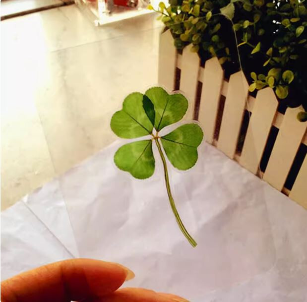 Real 4 Leaf Clover Book Mark Laminated Lucky Clover *