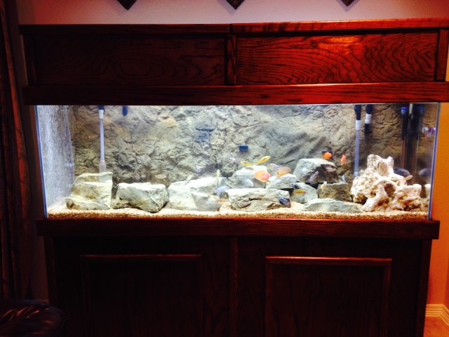 3-D Aquarium Background ROCKY w/ FREE Clips -Choose Size 10 Gallon to 125 Gallon