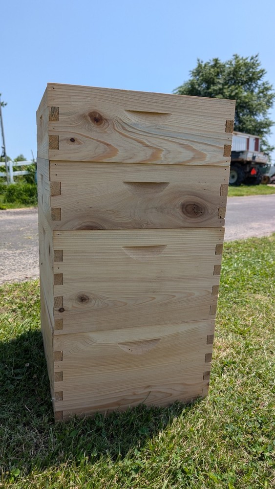 Cypress Langstroth Beehive Ten Frame Budget Grade