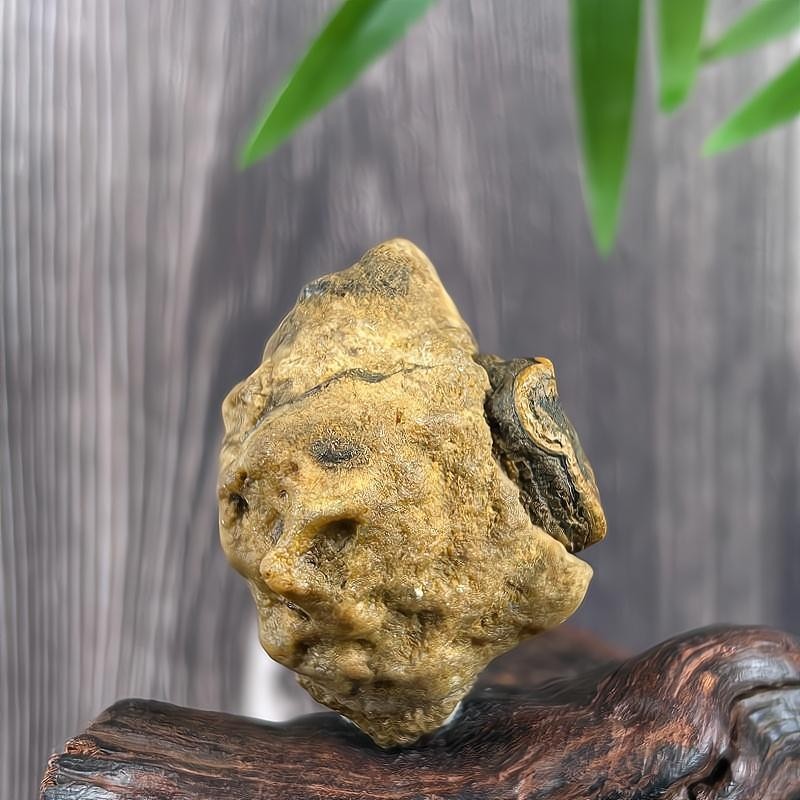 China Inner Mongolia Gobi Rough Agate Specimen