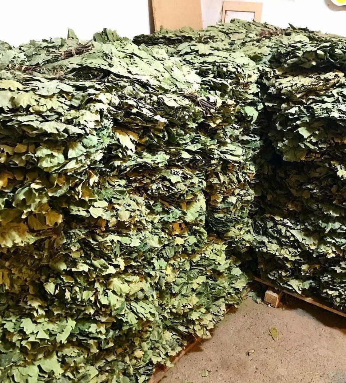 24 OAK whisks sauna banya venik brooms NEW SEASON 2025 FREE SHIPING