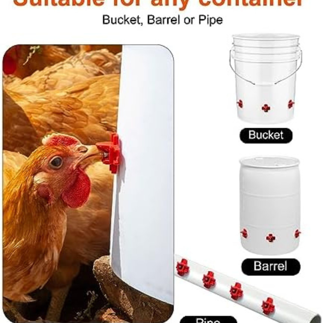Chicken Feeder No Waste Automatic Poultry Feeder Ports Chicken Feeders and Water