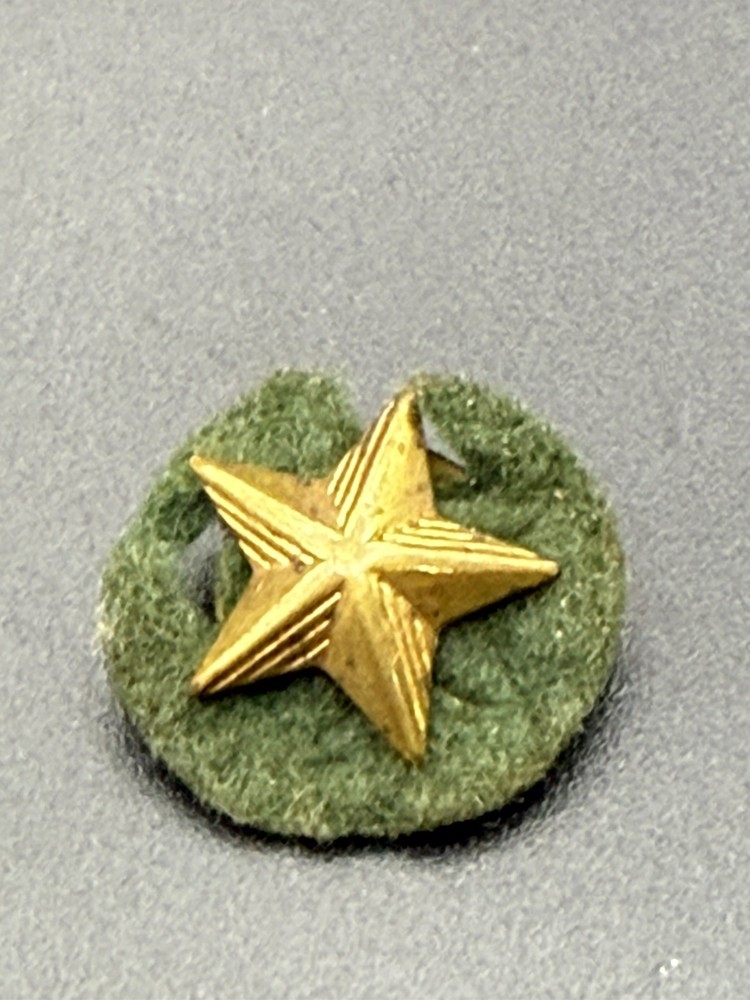 Camp Greenbrier Academic Star Recognition Lapel Pin N7