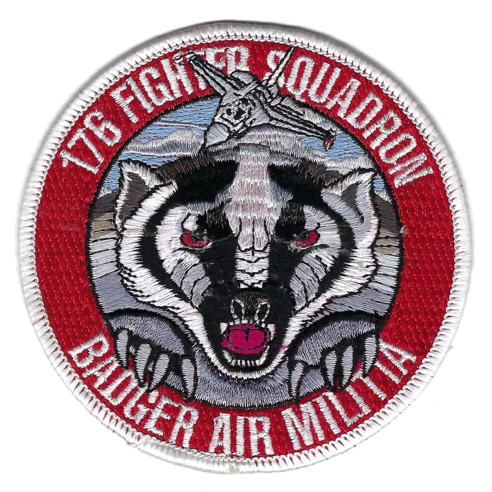 90's 176th FIGHTER SQUADRON "BADGER AIR MILITIA"  patch
