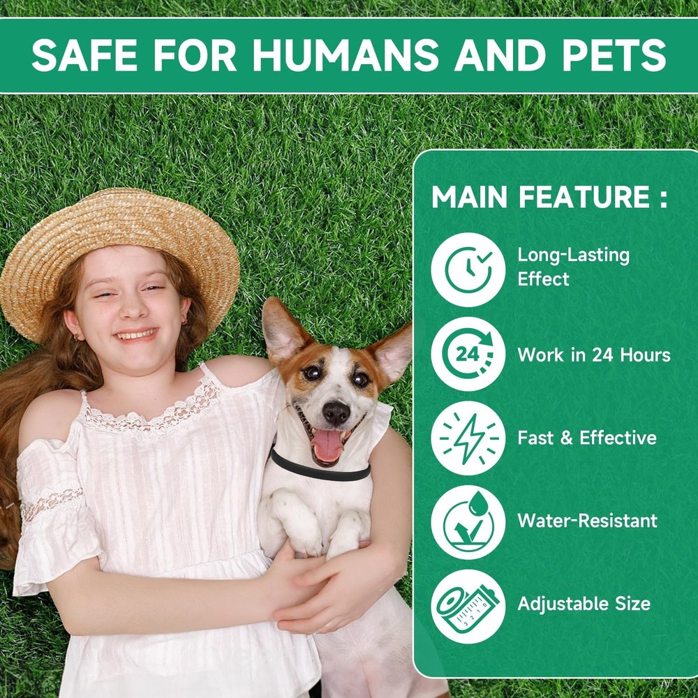 4 Pack Collar for Dogs