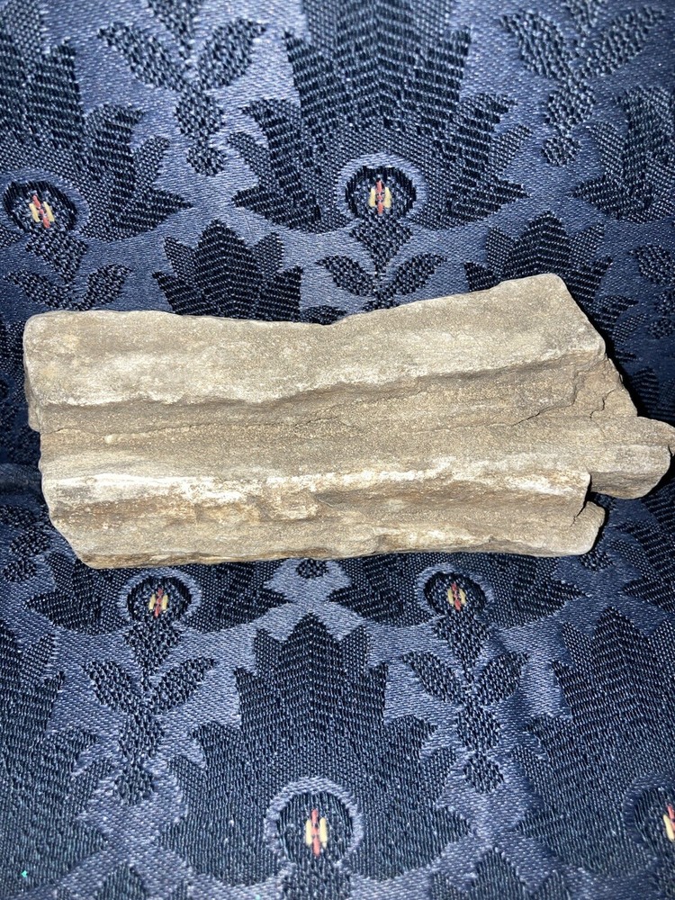 RARE SKYSCRAPER Design - HEAVY PETRIFIED WOOD