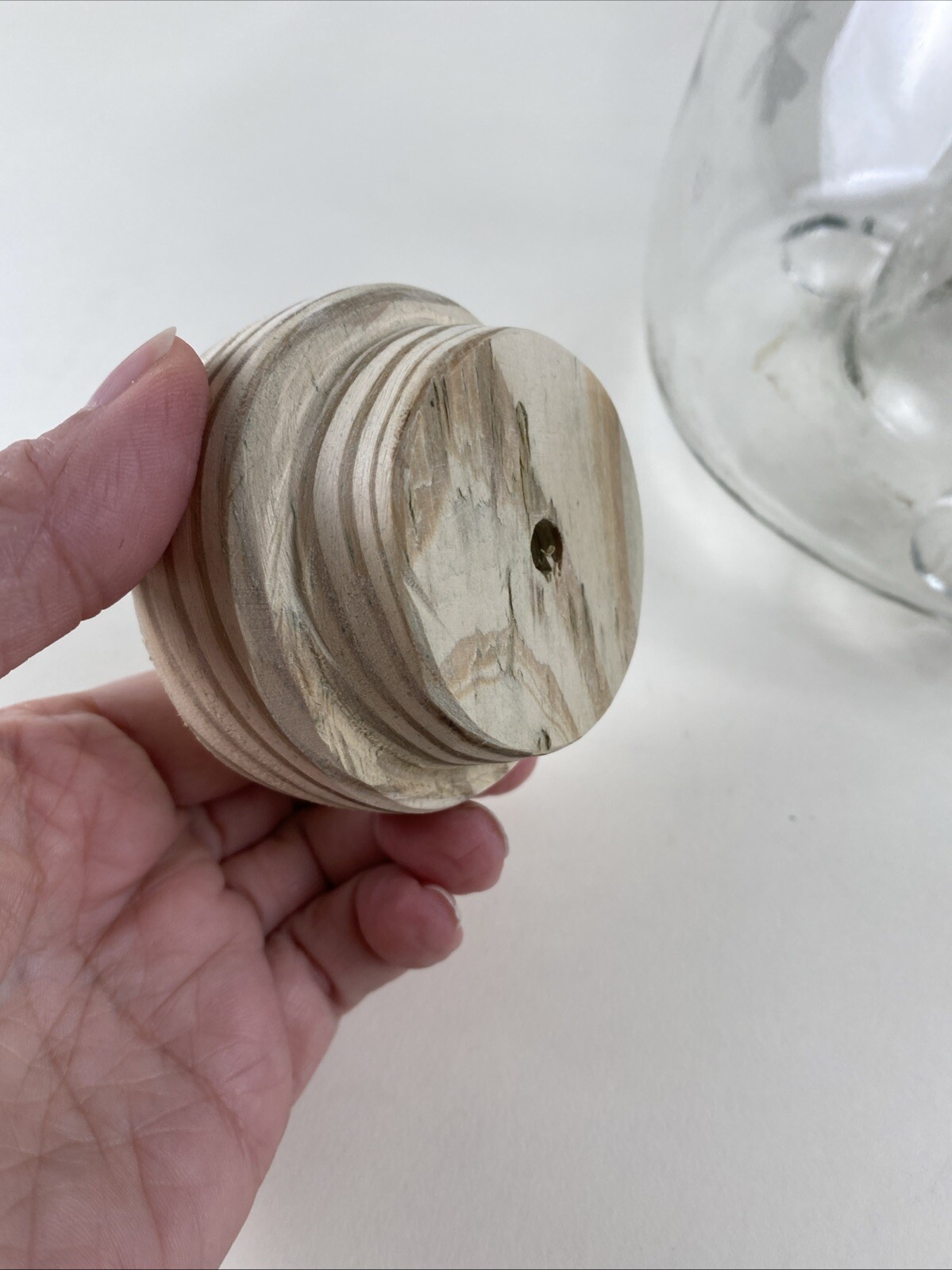 Glass Bee Catcher Trap Wasp Insect Fly Embossed Footed Hanging