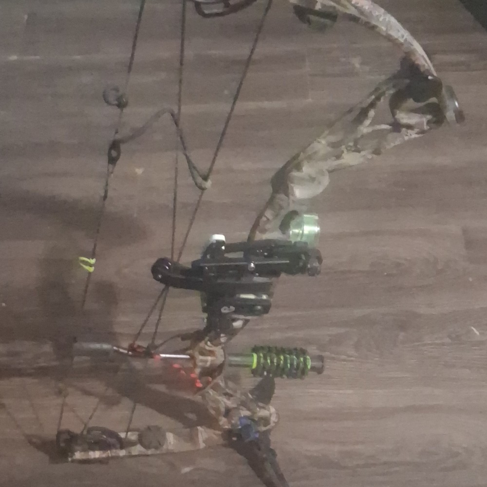 60 lb rytera/Martin  Alien x bow