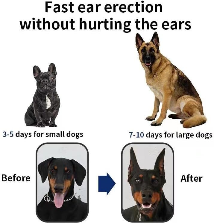 Comfortable Dog Ear Stand Sticker for Vertical Support - Lightweight & Durable