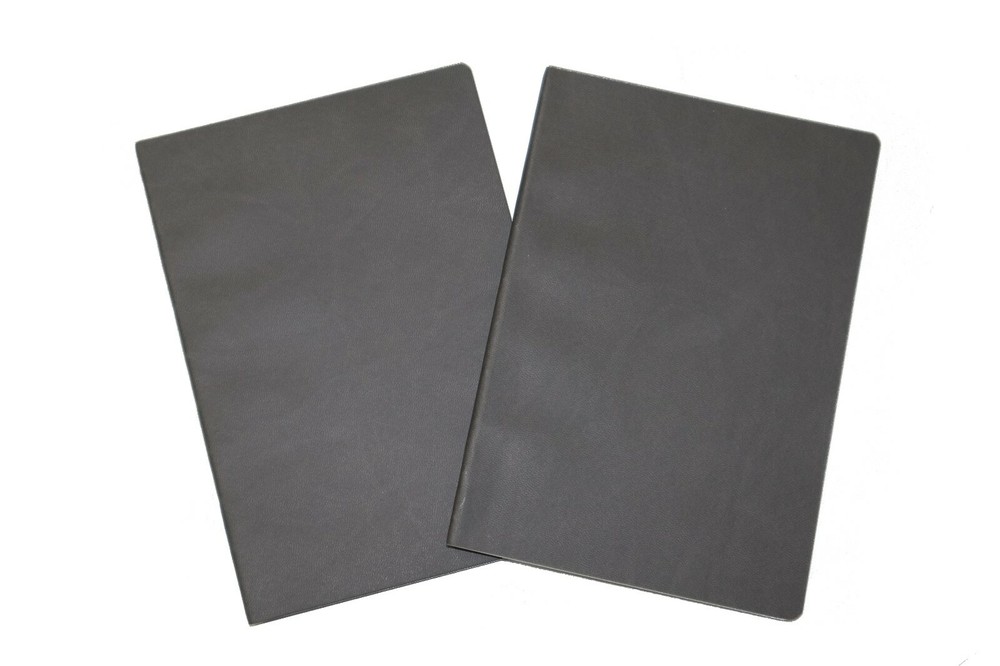 Totebook Thin Light Flexible Notebook 2 Pack Dot Grid w/ Some Perforated Sheets