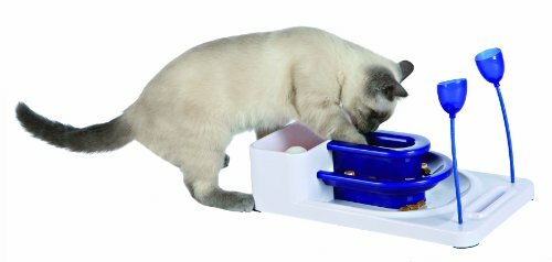 Interactive Food Dispenser Activity Center for Cats w/ 4 Modules