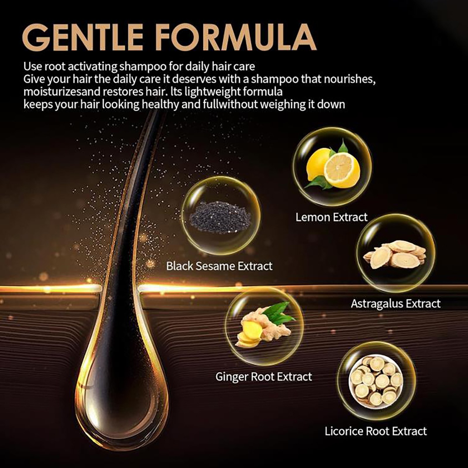 Root Activator Shampoo SPARTAN Hair Loss Shampoo Root Activator ( 200ml )