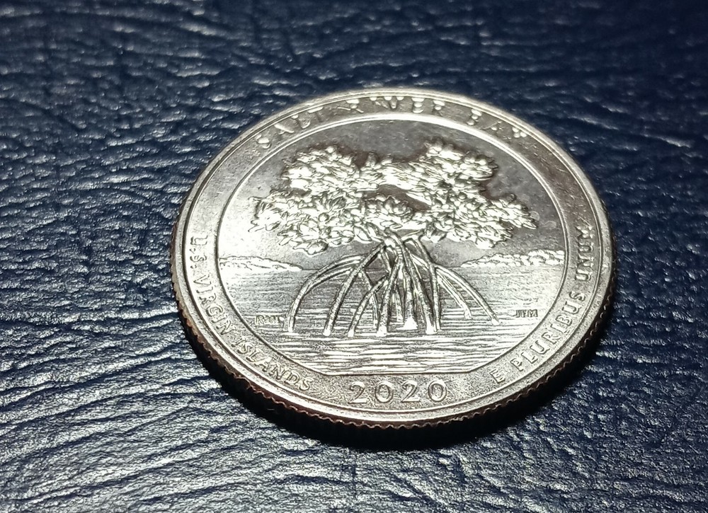 2020 P Salt River Bay Quarter