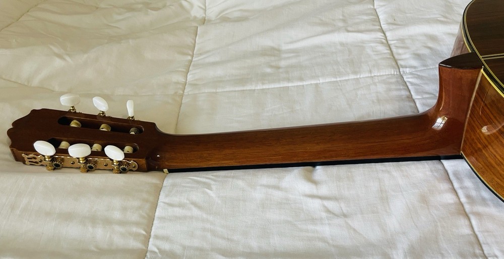 Takamine C-128 Classical Acoustic Guitar Solid Spruce Top Concert Classical