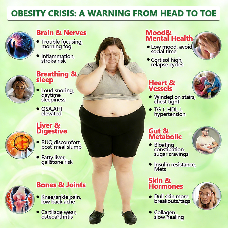 MURWON 10 in 1 Metabolic Patch, Nano Fusion Weight Management Anti-Aging Patches