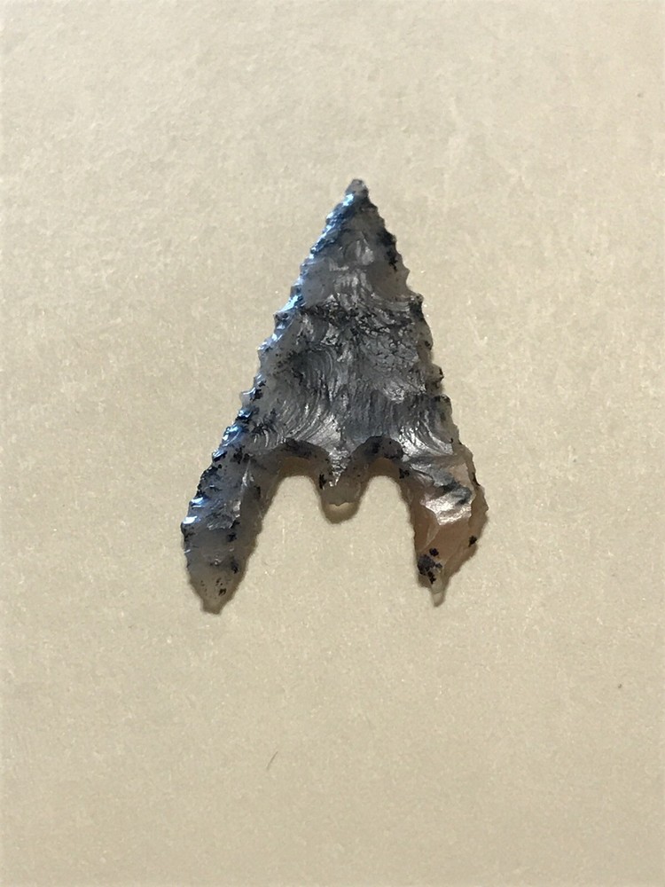 1 Inch Western Point Gunther Killer Material Translucent Oregon