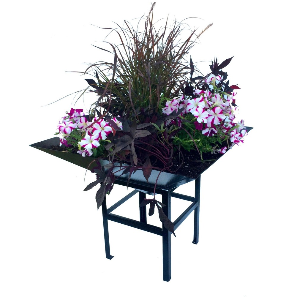 Paragon Small Black Flower Planter