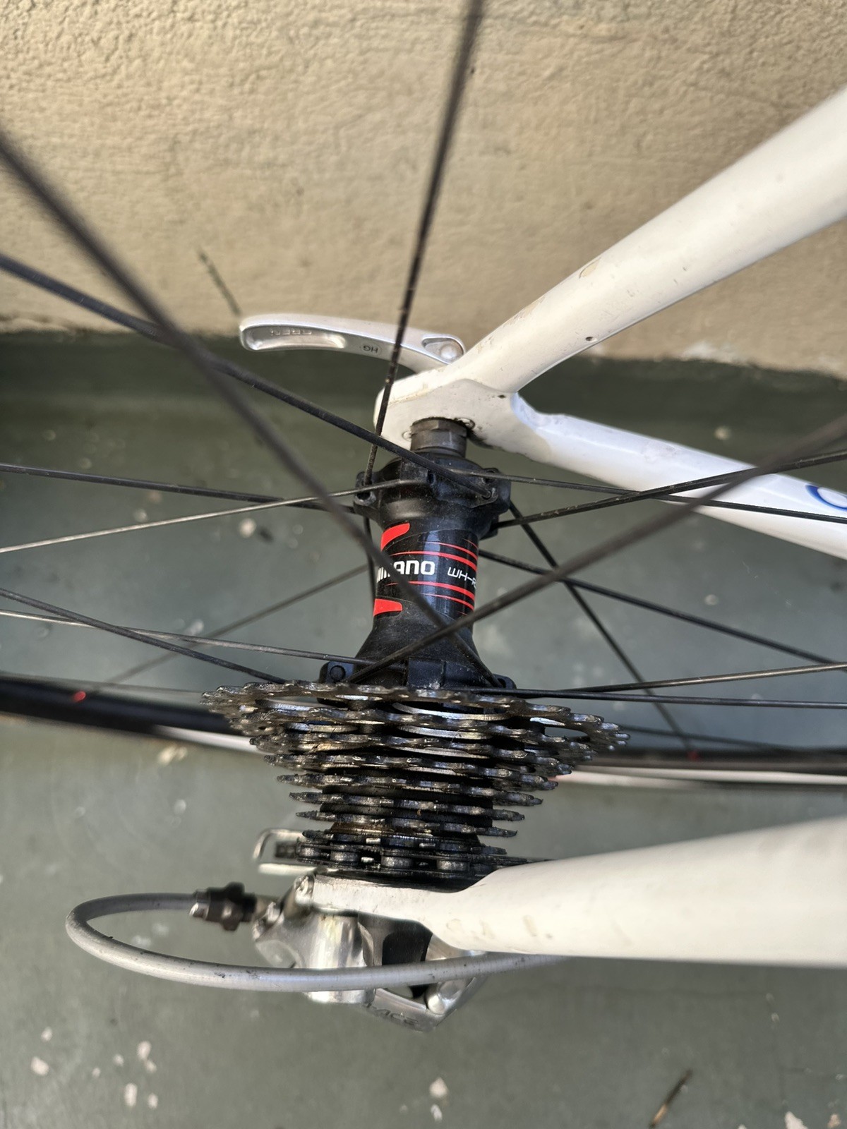 Colnago Mapei Vintage Racing Bicycle