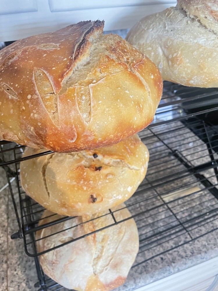 Sourdough starter, Organic Dehydrated And Very Active Starter