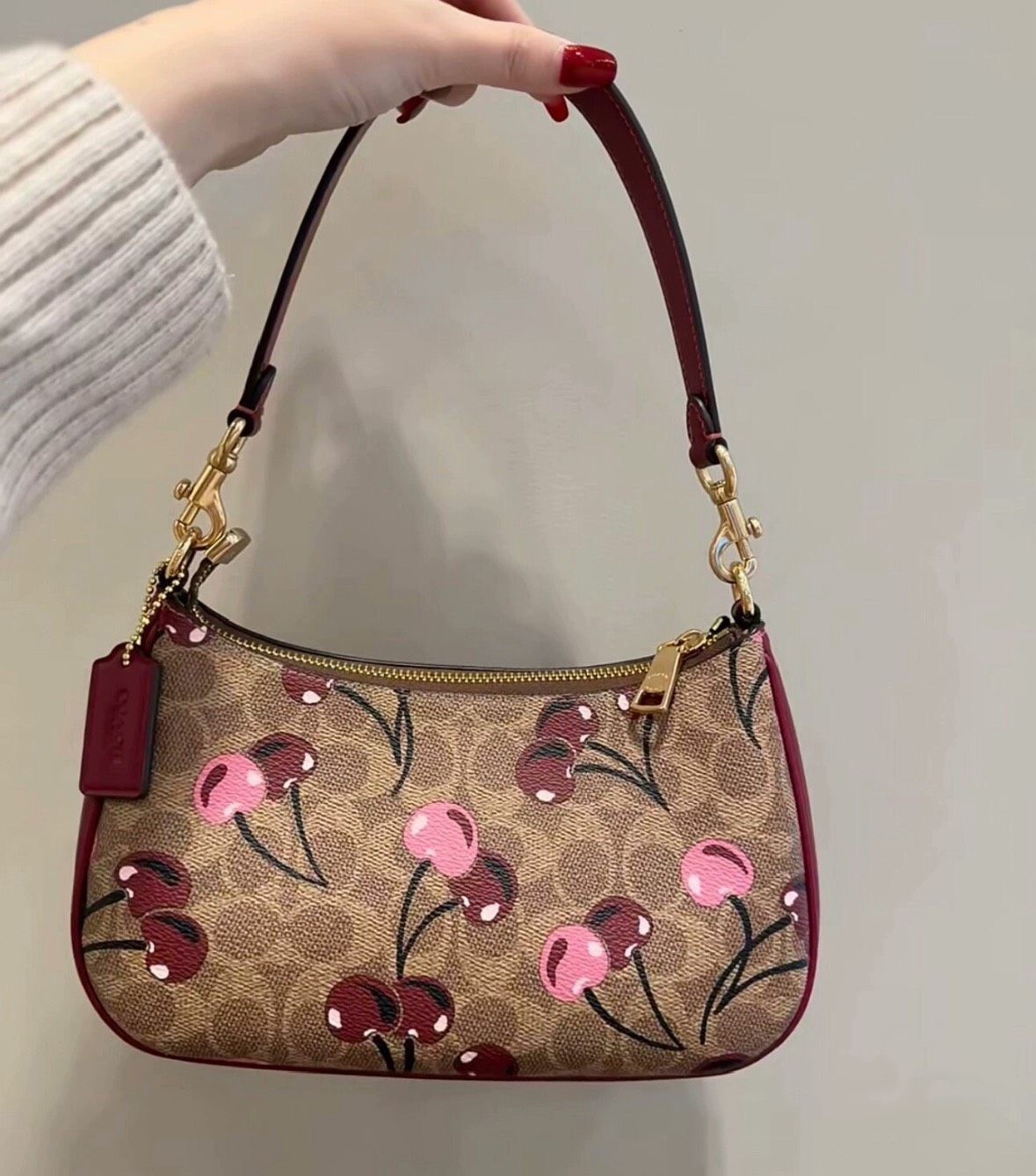 COACH Teri Shoulder Bag Signature Canvas Cherry Print CY694