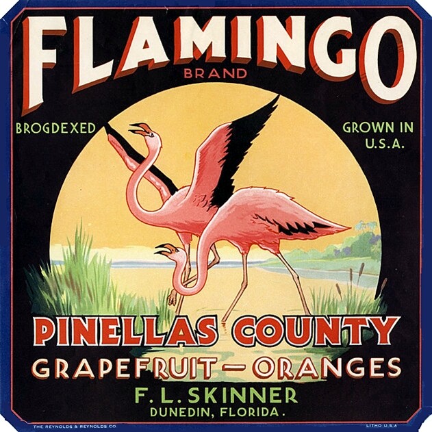 Dunedin Florida Flamingo Pinellas Grapefruit Orange Fruit Crate Label Art Print