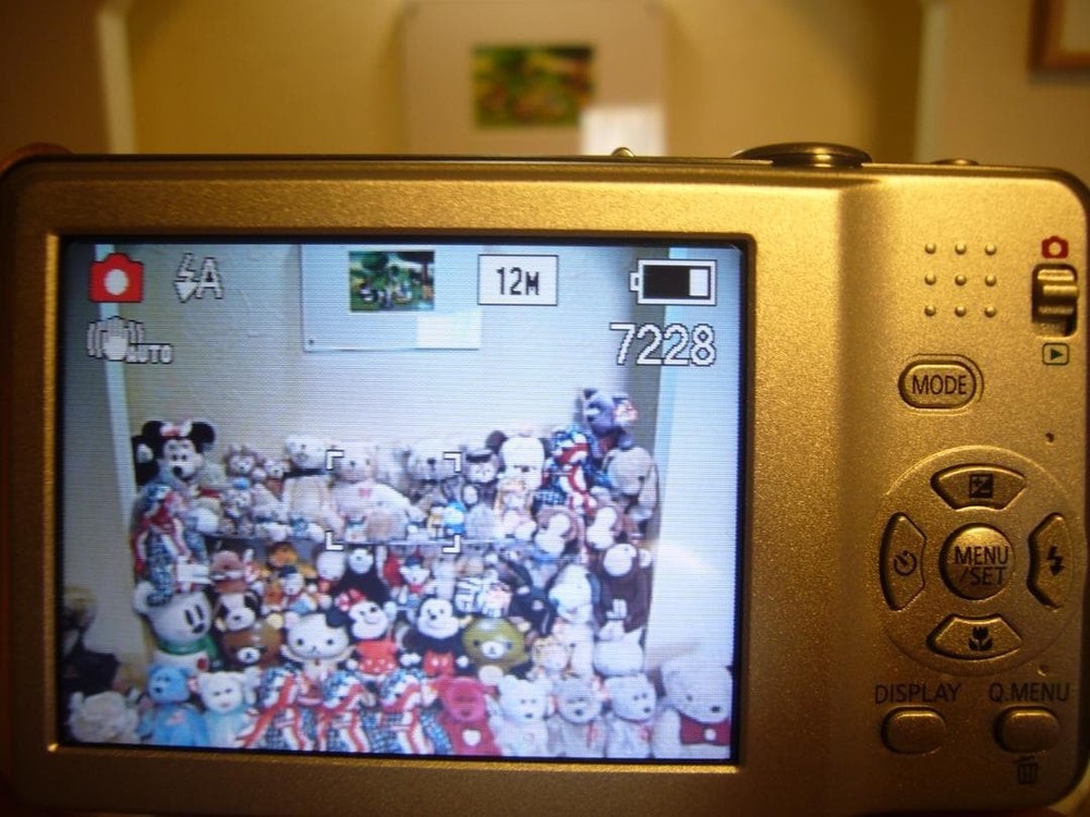 Panasonic LUMIX DMC-FS10 Compact Digital Camera Full Set Excellent Condition