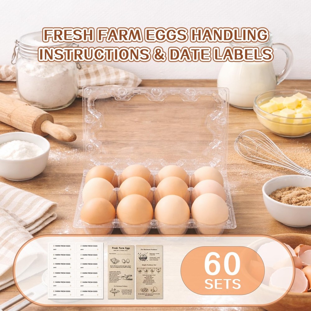Plastic Egg Cartons 60 Pack 12 Count Cheap Bulk Clear Dozen Reusable Empty Eg...
