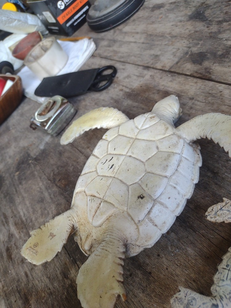 rubber turtles decor
