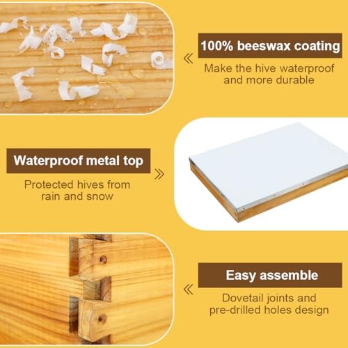 10 Frame Beehive Kit with Screened Bottom Board Dipped in Heavy 2-Layer