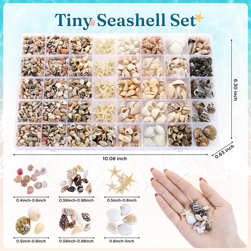 23 Types Small Sea Shells for Crafts, 1200 Pcs Tiny Seashells with Mixed Size