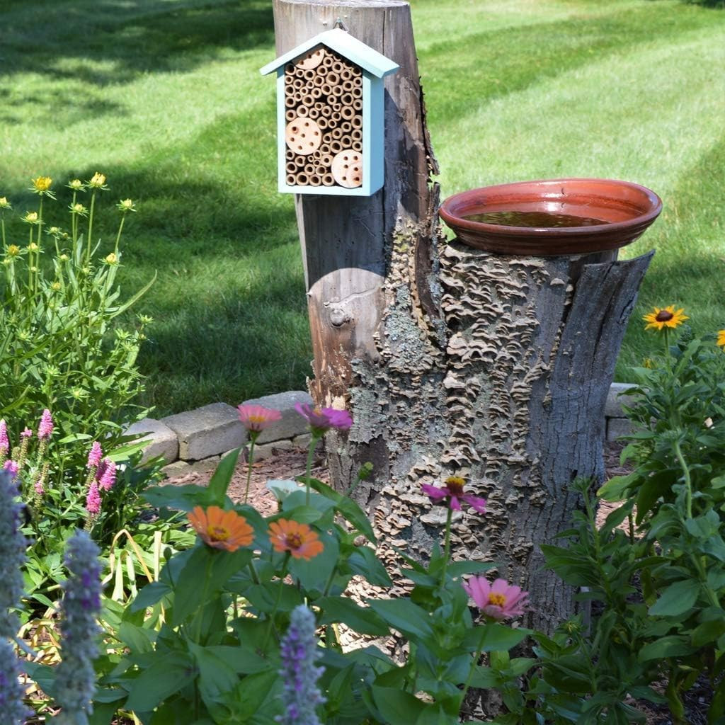 Mason Bee House Pollinator Bee Hotel Garden Solitary Bee Nesting Box